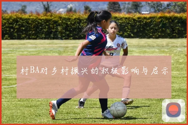 村BA对乡村振兴的积极影响与启示